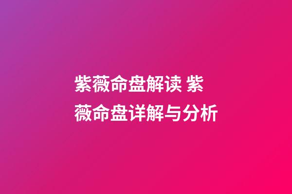 紫薇命盘解读 紫薇命盘详解与分析-第1张-观点-玄机派